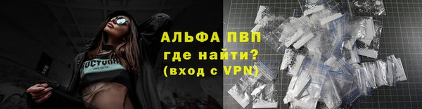 сатива Белоозёрский