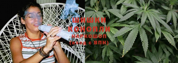 сатива Белоозёрский