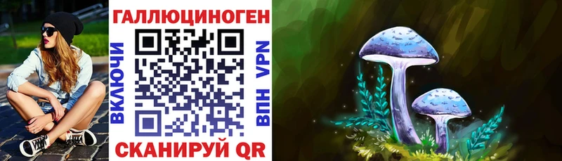 наркотики  МЕГА как войти  Галлюциногенные грибы Psilocybine cubensis  Белый 